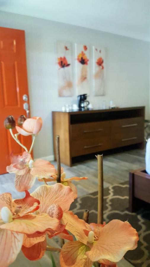 Quinta Arratz Hotel Villa de Juarez Luaran gambar